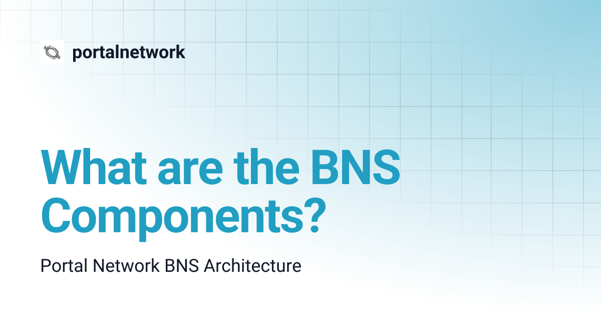 What are the BNS Components? | portalnetwork